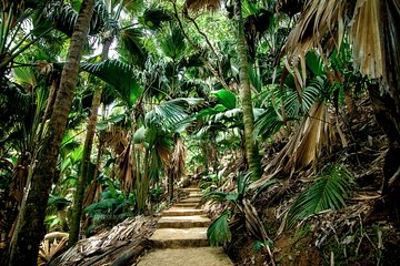 Vallee de Mai Tour (From Praslin)