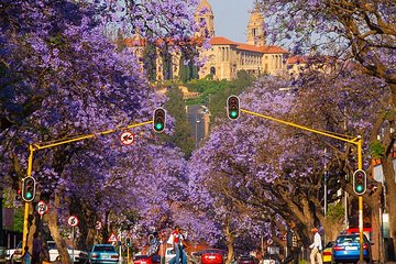 Pretoria Full-Day Cultural Tour