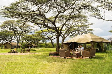 Tanzania 3-Day Private Safari with Full Board