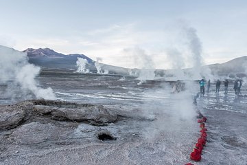 Full day Geyser del Tatio + Cejar Lagoon Shared Tour 