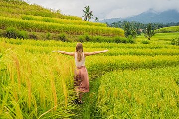 Bali Budget 5 Days, Tours & Air Port Transfers 