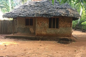 Spice Farm Tour and Jozani Forest Private Tour in Zanzibar