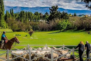 Country Afternoon with Dinner Show - Estancia 25 de Mayo