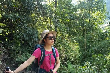 Godavari Village Day Tour
