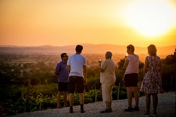 Enjoy and Taste the Flavors of Wine in an Open-air Venue