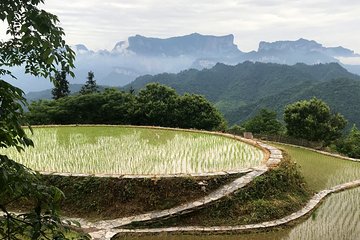 4 Days Zhangjiajie Highlights with Rice Terrace View (Hand-picked Featured Inn)