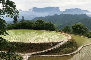 4 Days Zhangjiajie Highlights with Rice Terrace Tour (Classical Boutique Hotel)