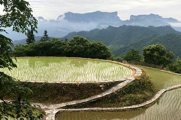 4 Days Zhangjiajie Highlights with Rice Terrace Tour(5-star Hotel)