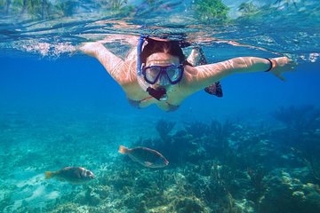 Amazing Snorkel Experience! Round Transportation From Cancun