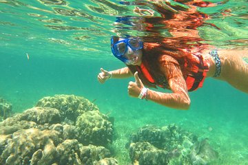Amazing Snorkel Adventure! Round Transportation From Cancun