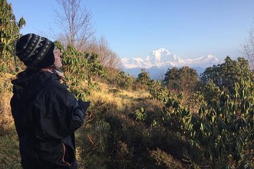 4 Days Poon Hill Trek