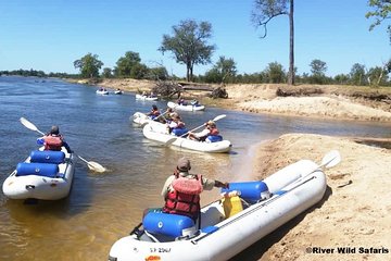 Canoeing Upper Zambezi 1 Day - River Wild Safaris