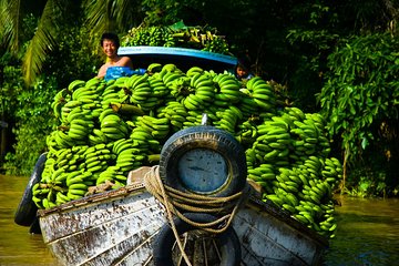 2-day My Tho boat trip & Cai Rang floating market (Overnight in Can Tho)