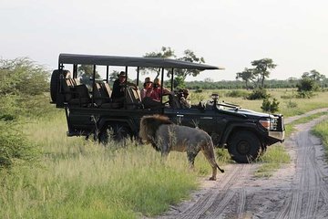 2-Day Chobe Park Safari Tour with Overnight at Victoria Falls