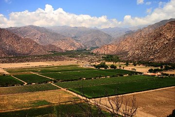 Full Day Excursion to Cafayate from Salta