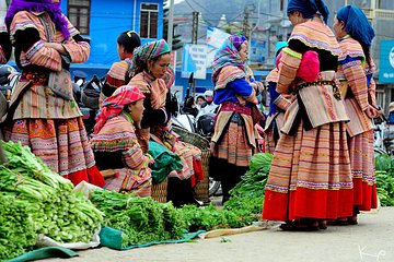 7-day Hanoi Sapa Ninh Binh Halong Bay 