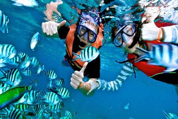 (ALL- IN) Bali Snorkeling Blue Lagoon And Tanjung Jepun