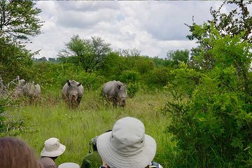 10 Day Zimbabwe and Chobe NP Tour