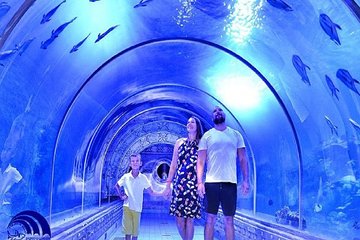 Private 5 Nights Cairo & Hurghada Tour