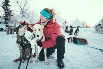 Husky Sledding Self-Drive Adventure in Tromso