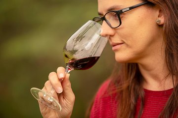 4-Day Semi-private Mendoza Wine Experience