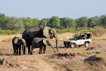 Small Group Tour in the Zambezi National Park