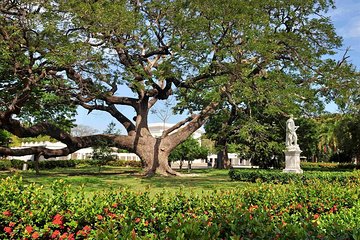 Self-Guided Audio Tour - Botanical Garden