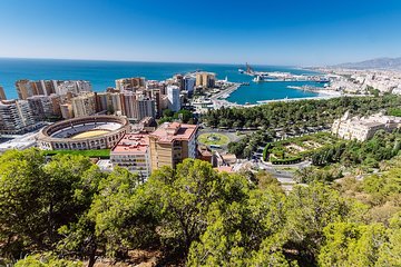 Private 4-hour walking tour of Malaga with official tour guide