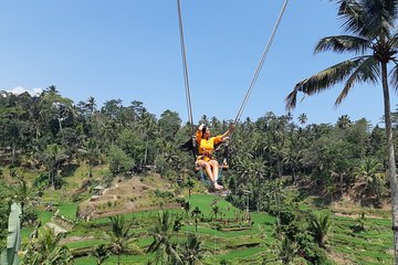 Ubud Swing, Water Temple and Waterfall Tour