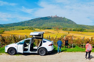 Alsace Discovery Private Tour with Local Villages & Castles