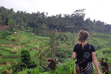 Bali All Inclusive Tour, Ubud Rice Terrace, Temple and Volcano