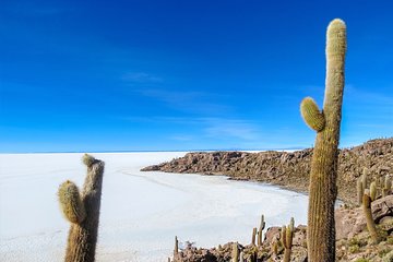 Uyuni Salt Flats - FULL DAY - English Speaking Guide