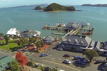 City to City Transfers (Auckland - Whangarei , Paihia )