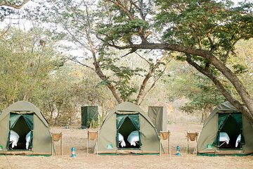 3-Day Chobe National Park Camping Safari from Victoria Falls