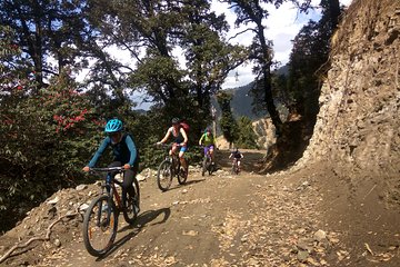 9-Day Himalaya Mountain Bike Tour from Shimla to Daramshala