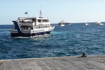 Minicruise Positano & Amalfi from Sorrento: 3 sites in 1 day!