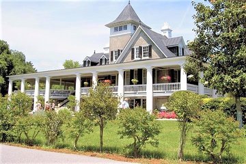 Magnolia Plantation Admission & Tour with Transportation from Charleston