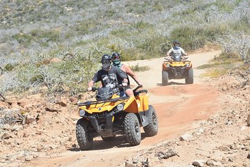 Combo Double Atv + Horses