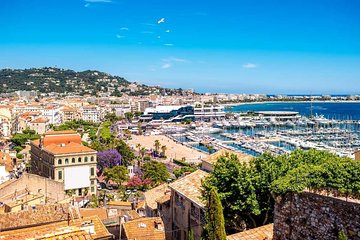 Discover incredible Cannes on private walking tour