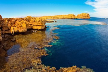 Full-Day Snorkeling Adventure in Ras Mohammed National Park