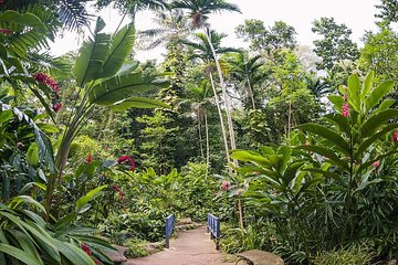 Private Transfer to Konoko Falls Botanical Gardens