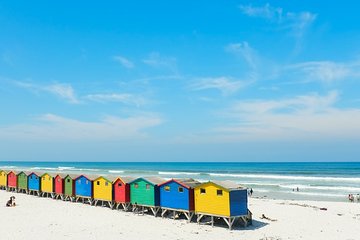 Table Mountain, Cape Peninsula & Winelands Instagram Experience