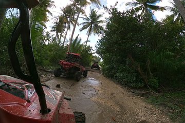 Buggy Tour from Sosua