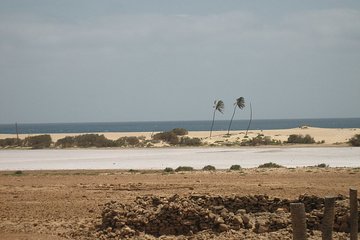 Boa Vista Private Tour from Curral Velho to Ervatao