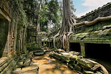 2-Day Highlights of Siem Reap & Angkor Complex