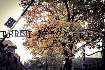 Auschwitz Private Tour