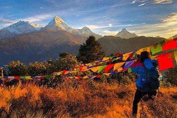 4 Days Poon hill trekking from Pokhara