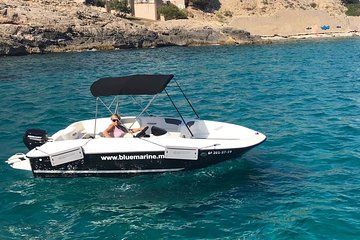 Bluemarine.me license free Bayliner Element E5 rental