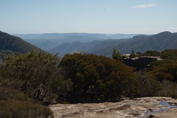 The Explorers' Discovery Tour - Gold, Wine & Wildlife