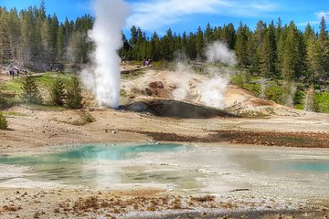 North Yellowstone Day Tour (Lamar Valley) Private Day Tour 